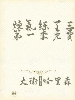 炼气练了三千年第一季免费