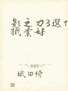 影之刃3选什么职业好