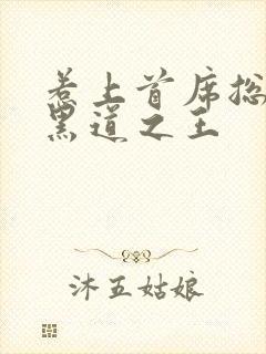 惹上首席总裁 黑道之王