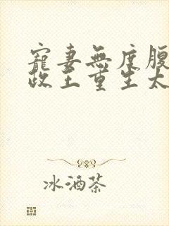 宠妻无度腹黑摄政王重生太粘人