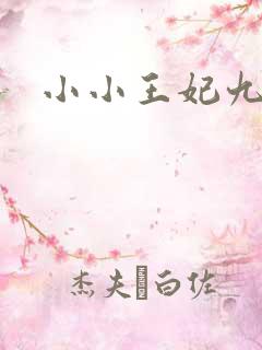小小王妃九岁半