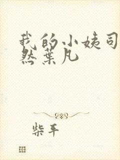 我的小姨司空嫣然叶凡