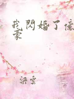 我闪婚了亿万富豪