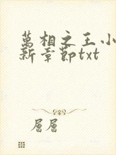 万相之王小说最新章节txt