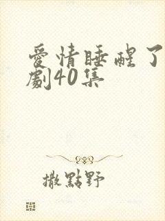 爱情睡醒了电视剧40集