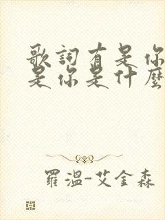 歌词有是你是你是你是什么歌