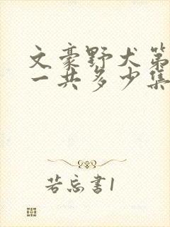 文豪野犬第二季一共多少集