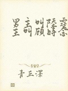 男主叫陆霆骁女主叫顾时念的小说