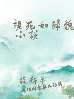 视死如归魏君子 小说