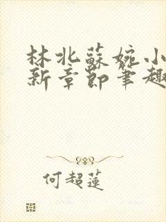 林北苏婉小说最新章节笔趣阁