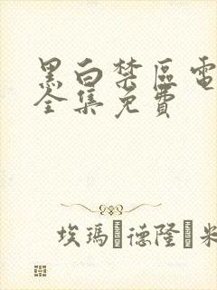 黑白禁区电视剧全集免费