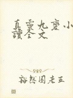 真灵九变小说阅读全文