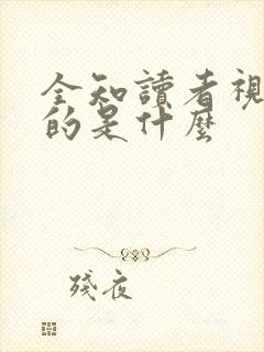 全知读者视角讲的是什么