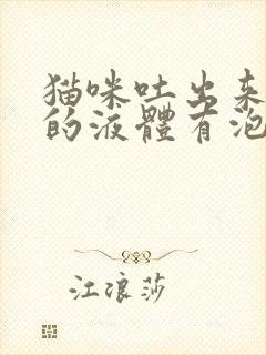 猫咪吐出来黄黄的液体有泡沫