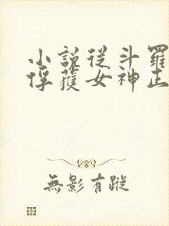 小说从斗罗开始俘获女神正版