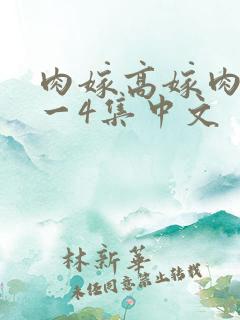 肉嫁高嫁肉柳1一4集中文