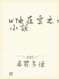w他在云之南》小说