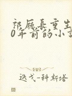 祁厅长重生到20年前的小说