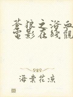 苍狼之浴血绝杀电影在线观看免费