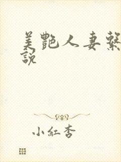 美艳人妻系列小说