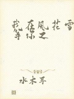 我在风花雪月里等你之
