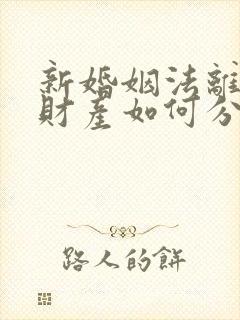 新婚姻法离婚后财产如何分配