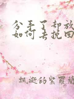 分手了却放不下如何去挽回