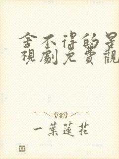 舍不得的星星电视剧免费观看