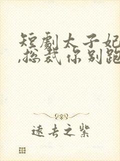 短剧太子妃驾到,总裁你别跑