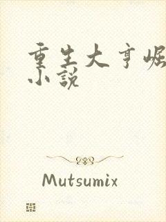 重生大亨崛起 小说