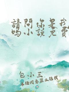 请问你是我老公吗小说免费阅读