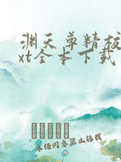 渊天尊精校版txt全本下载