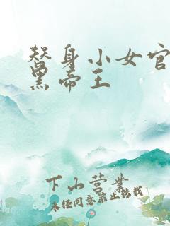 替身小女官,腹黑帝王