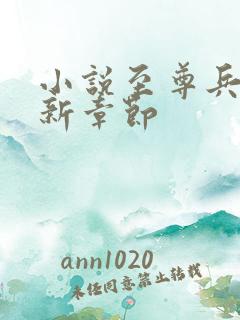 小说至尊兵王最新章节