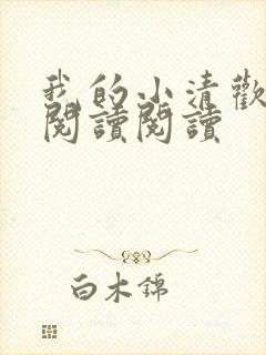 我的小清欢全文阅读阅读