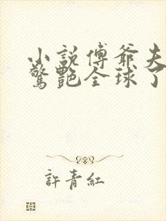 小说傅爷夫人又惊艳全球了免费下载