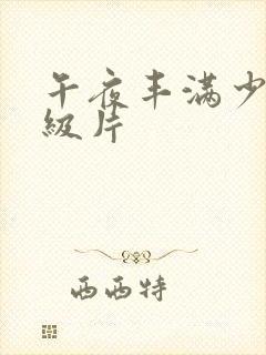 午夜丰满少妇一级片