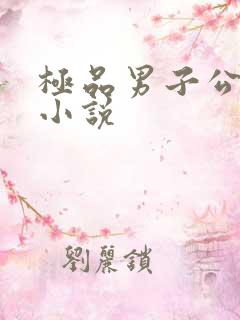 极品男子公寓的小说