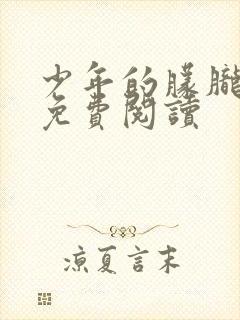 少年的朦胧小说免费阅读