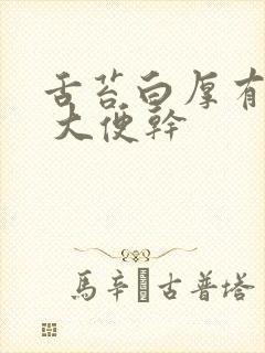 舌苔白厚有齿痕 大便干