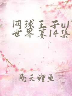 网球王子u17世界赛14集