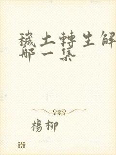 秽土转生解除是哪一集