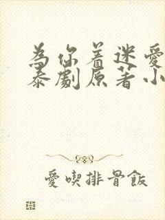 为你着迷爱龙奈泰剧原著小说