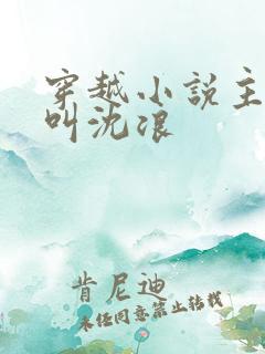 穿越小说主人公叫沈浪