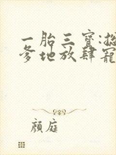 一胎三宝:总裁爹地放肆宠