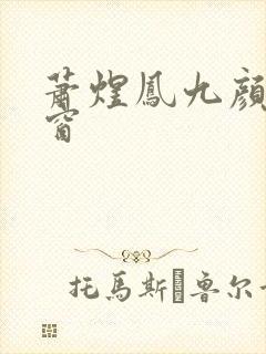 萧煜凤九颜无弹窗