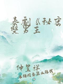 泰剧《秘密爱》双男主