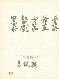 黑帮少爷爱上我泰剧第五集