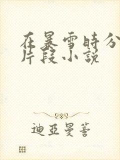 在暴雪时分高能片段小说