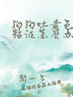 狗狗吐黄色泡沫粘液怎么办